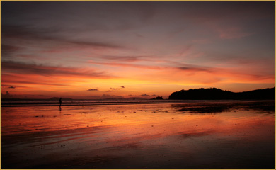 South Coast Explorer