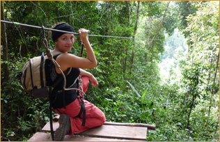 The Gibbon Experience