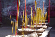 Understanding the Triple Religion (Tam Giao)